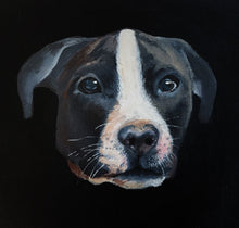 Load image into Gallery viewer, Custom Painted Pet Portrait headshot 10x10 canvas
