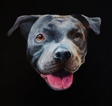 Load image into Gallery viewer, Custom Painted Pet Portrait headshot 10x10 canvas
